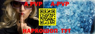 гашик Аргун