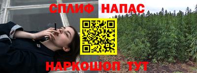гашик Аргун
