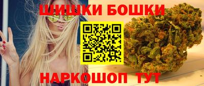 гашик Аргун