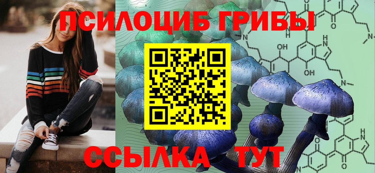 Псилоцибиновые грибы мухоморы  Псилоцибиновые грибы Magic Shrooms  Вход с VPN  Благодарный 